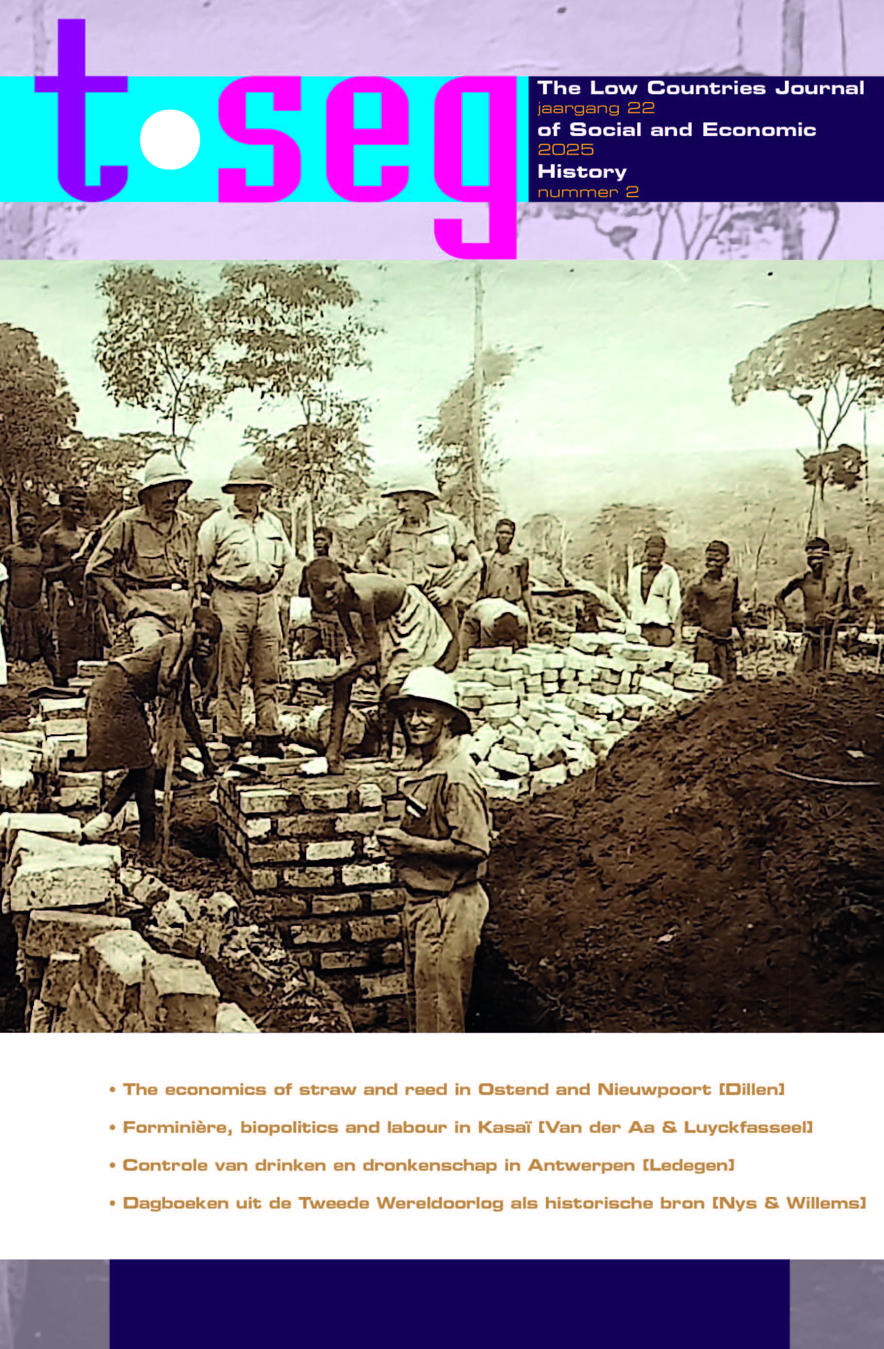 					View Vol. 22 No. 2 (2025): TSEG
				